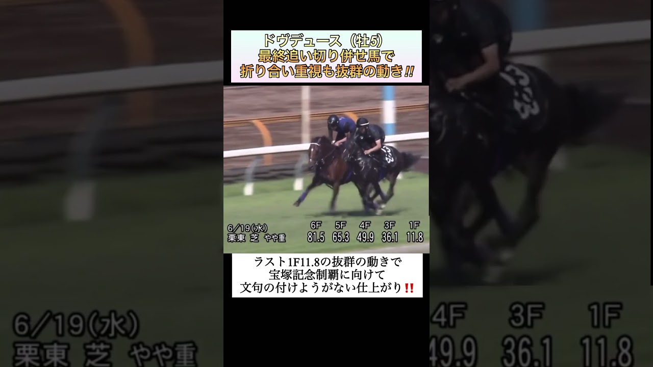 【競馬】ドヴデュース宝塚記念への最終追い切りで馬なりも抜群の動き‼︎  #競馬  #ドヴデュース  #宝塚記念