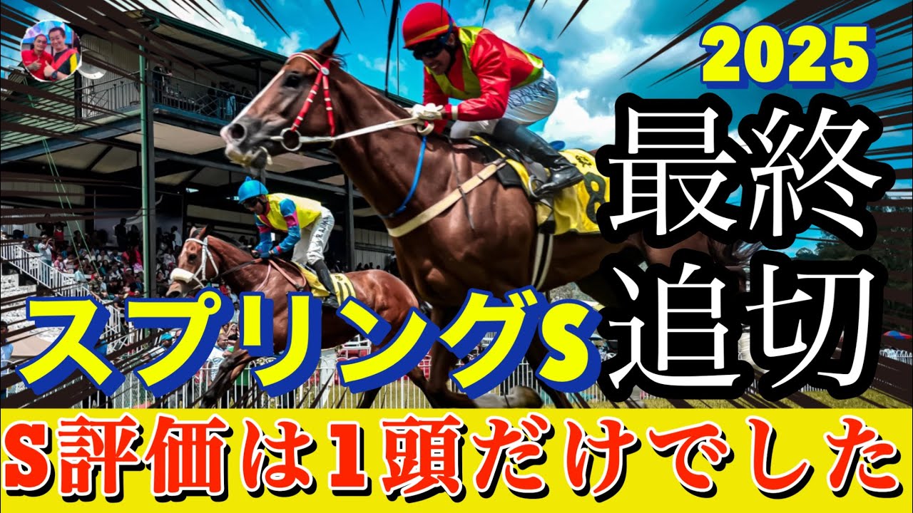 🎯【スプリングステークス 2025】最終追切評価 | S評価は1頭だけでした。馬場が悪い中厳しい状況でしたね。そんな中将来性のある凄い馬が1頭紛れていました。