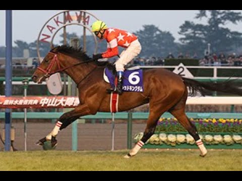 2014 中山大障害 JG1 レッドキングダム