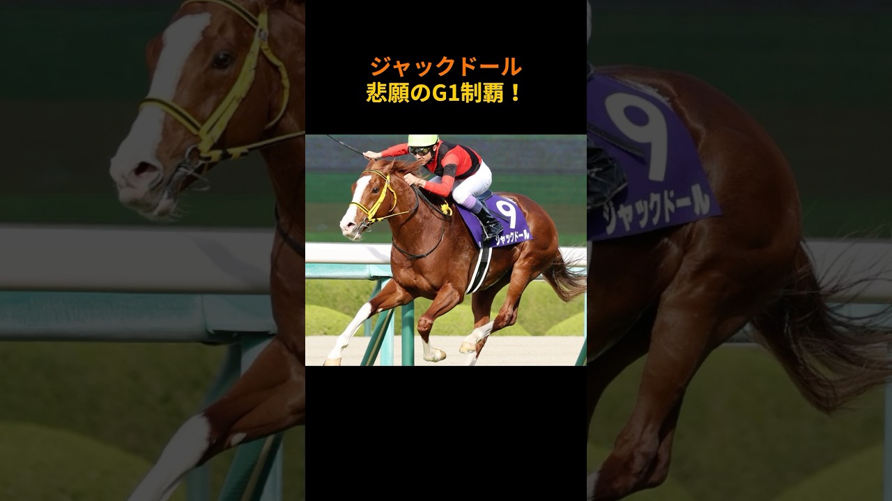 ありがとう！ジャックドール！#競馬 #名馬 #金鯱賞 #大阪杯 #金髪の貴公子 #ジャックドール