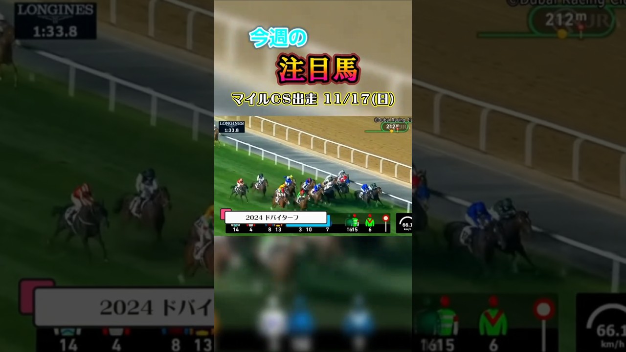 あのレースから1年が経ちました..今週はマイルチャンピオンシップが行われます!#競馬 #競馬予想 #馬 #shorts
