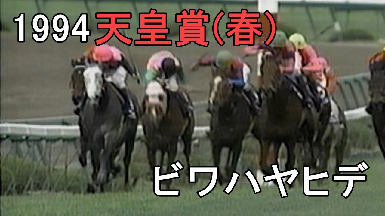 ビワハヤヒデ 1994年(平成6年)第109回天皇賞(春)(G1)