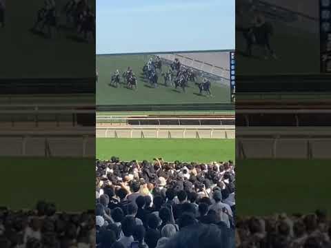 【現地映像】NHKマイルカップ2024 ジャンタルマンタル優勝 #競馬