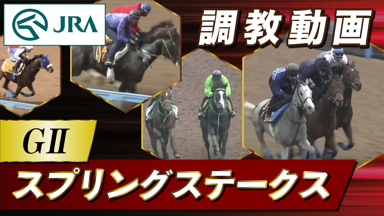 【調教動画】2025年 スプリングステークス｜JRA公式