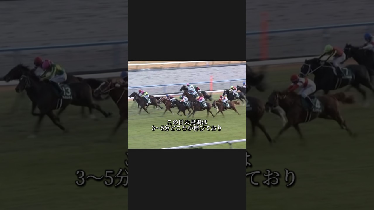 【皐月賞2024 予想】伏兵馬はこの馬！#shorts #競馬女子