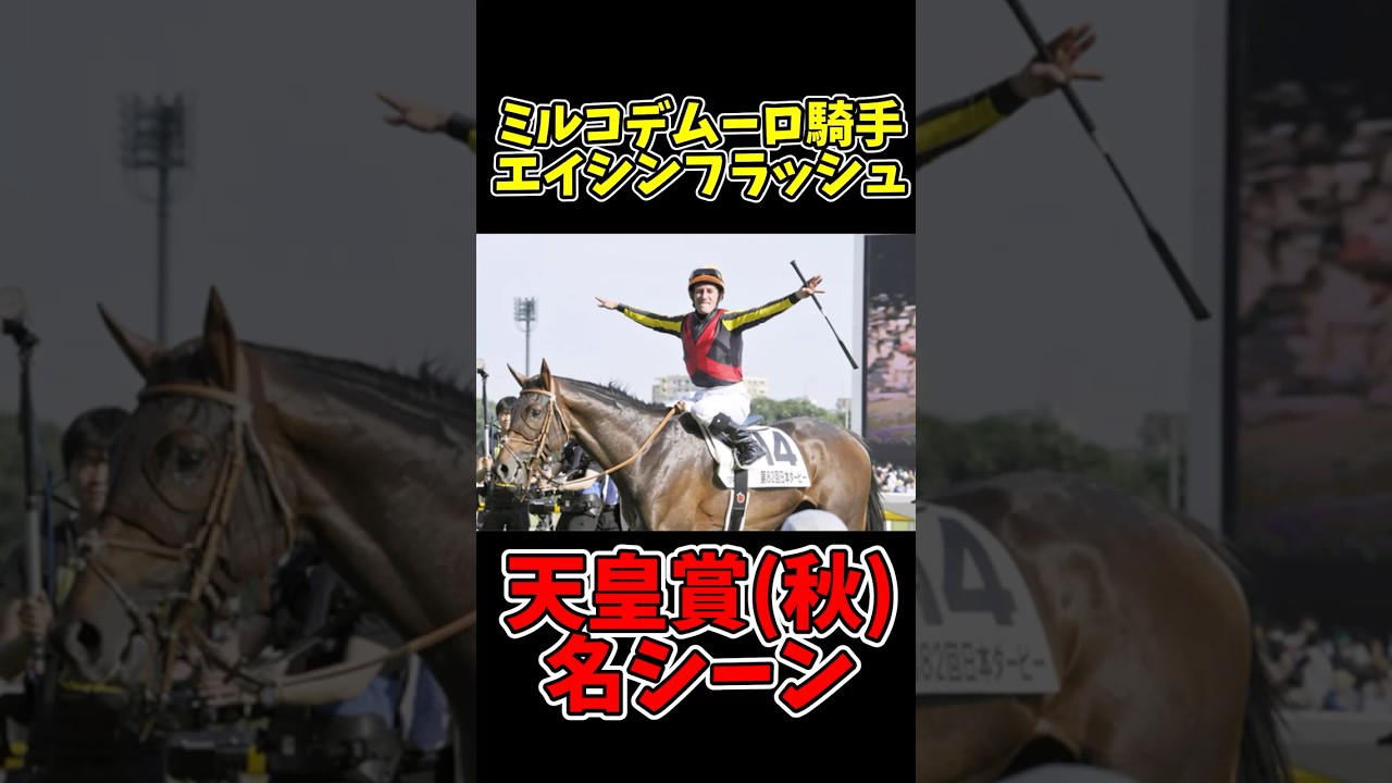 ミルコデムーロ騎手とエイシンフラッシュの天皇賞秋名シーン【競馬】
