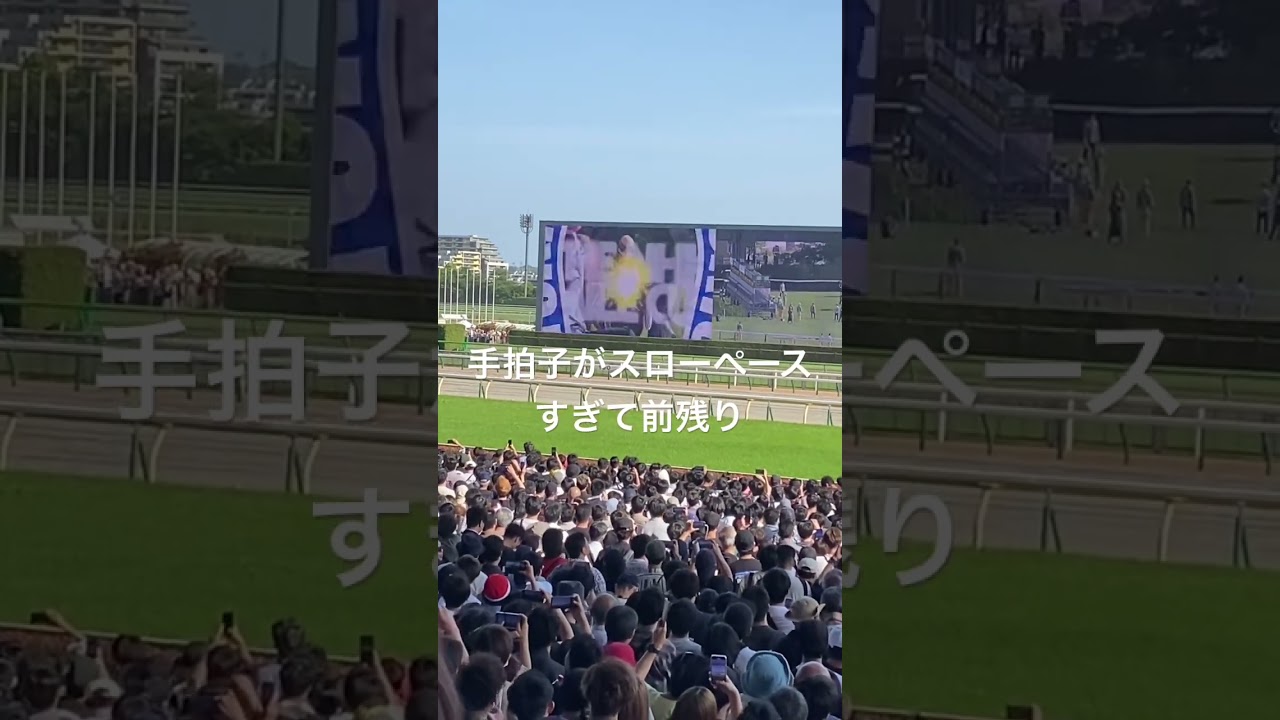 【生演奏】NHKマイルカップ2024 ファンファーレ生演奏　手拍子がスローペースすぎて前残り　#競馬 #ファンファーレ #nhkマイルカップ2024