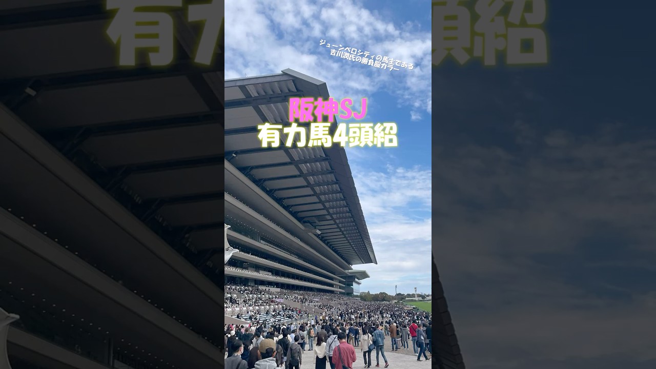 【阪神SJ2025 有力馬を4頭紹介】中山グランドジャンプを目指す一戦!!王者不在の障害レースに新星は誕生するのか!? #shorts #競馬予想 #障害レース #阪神スプリングジャンプ