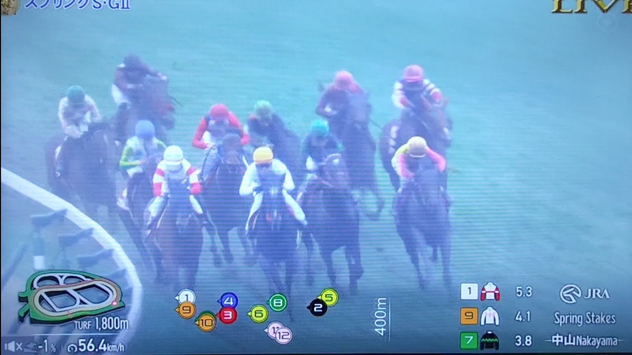 2025 第74回スプリングステークス(G2・皐月賞TR)