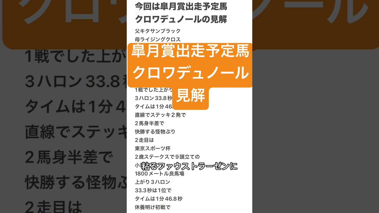 皐月賞出走予定馬2025年クロワデュノール見解