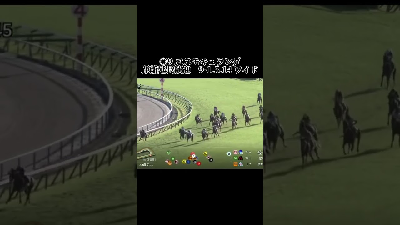 菊花賞の結果です！さあ後ろでペースも #競馬 #競馬結果 #京都競馬 #菊花賞