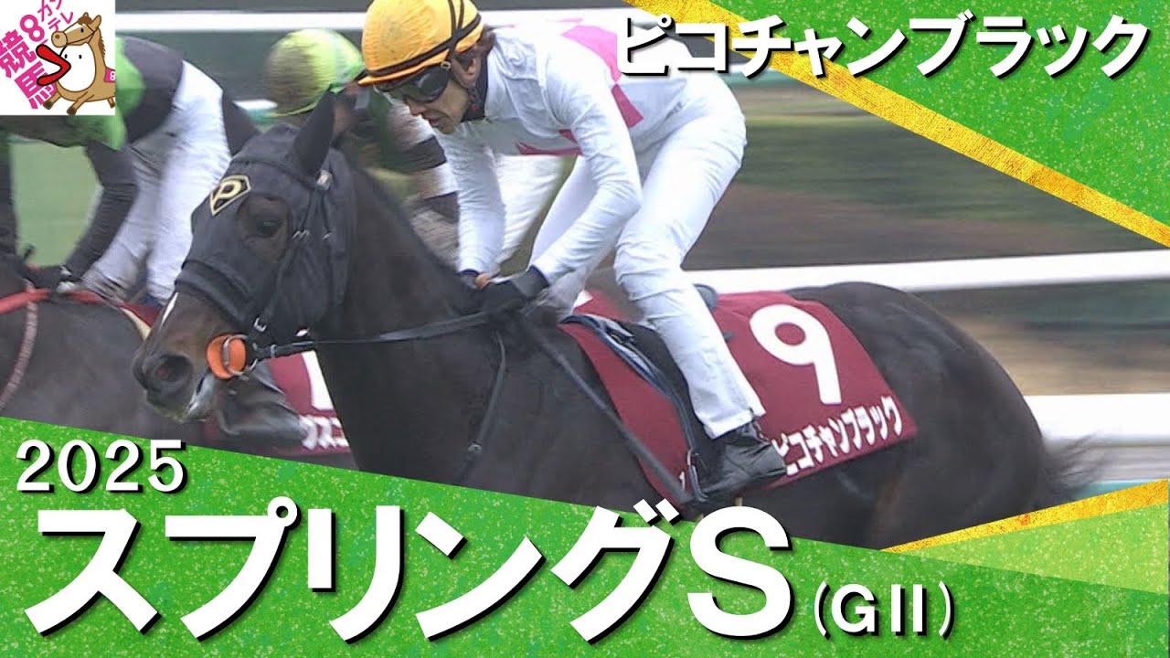 2025年 スプリングステークス (ＧⅡ) ピコチャンブラック【カンテレ公式】