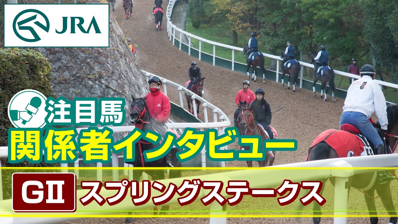 【注目馬 関係者インタビュー】2025年 スプリングステークスJRA公式