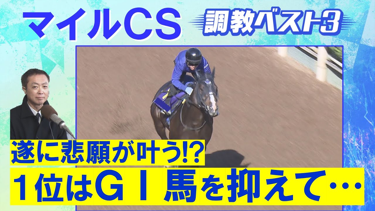 【“欧州最強マイラー”チャリンの調教も徹底解説】マイル頂上決戦！競馬エイト・高橋賢司トラックマンの調教解説＜マイルチャンピオンシップ(ＧⅠ)＞