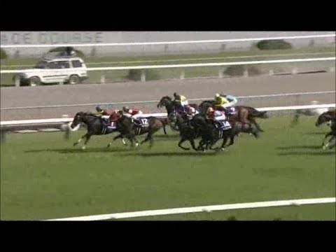 2014年天皇賞春　フェノーメノ連覇　ゴールドシップ出遅れ　～MBS実況