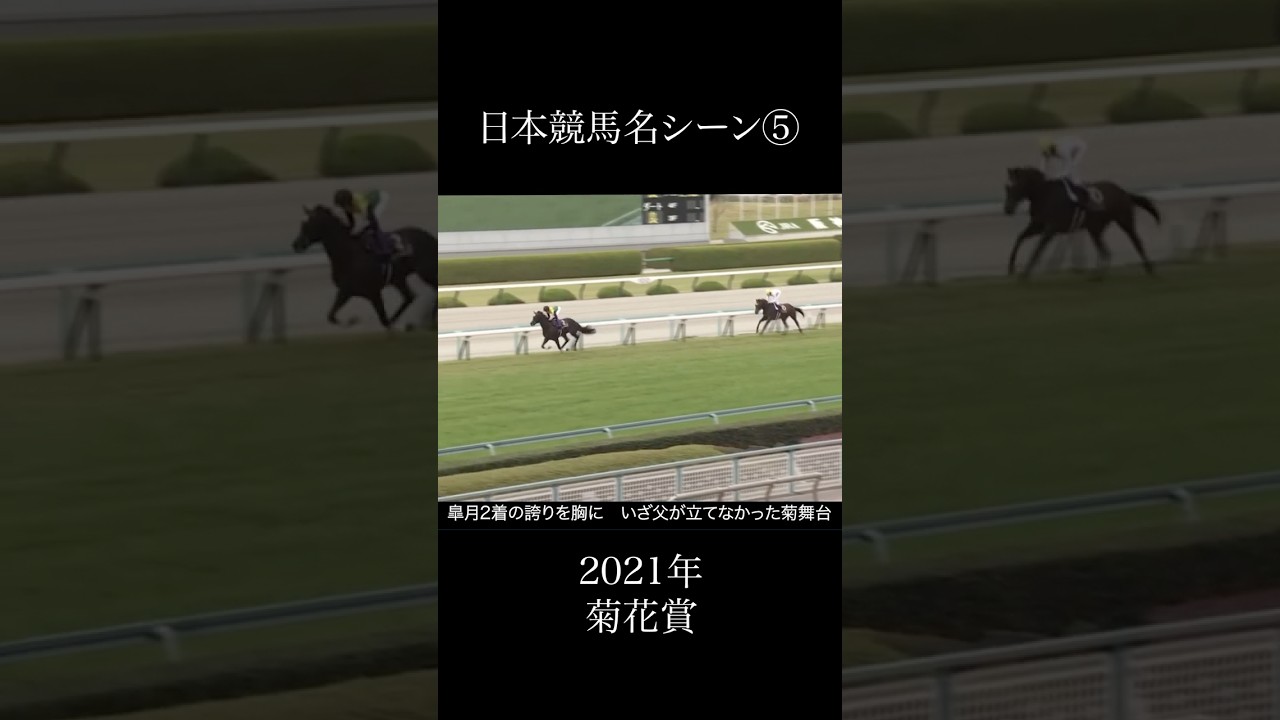 日本競馬名シーン⑤2021年菊花賞・2023年秋華賞  #競馬 #horse #名シーン #名場面 #タイトルホルダー #リバティアイランド #ドゥラメンテ