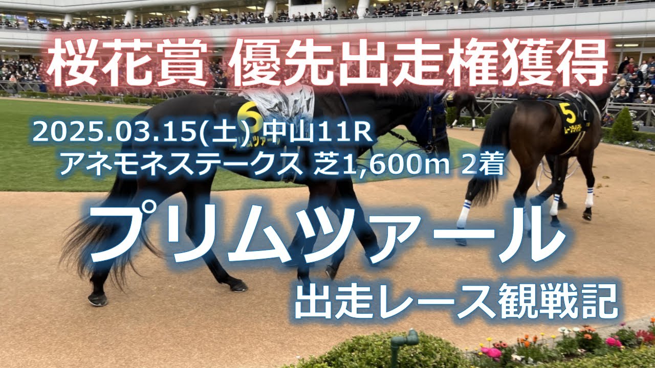 『桜花賞 優先出走権獲得』3/15(土) 中山11R アネモネステークス プリムツァール 出走レース観戦記