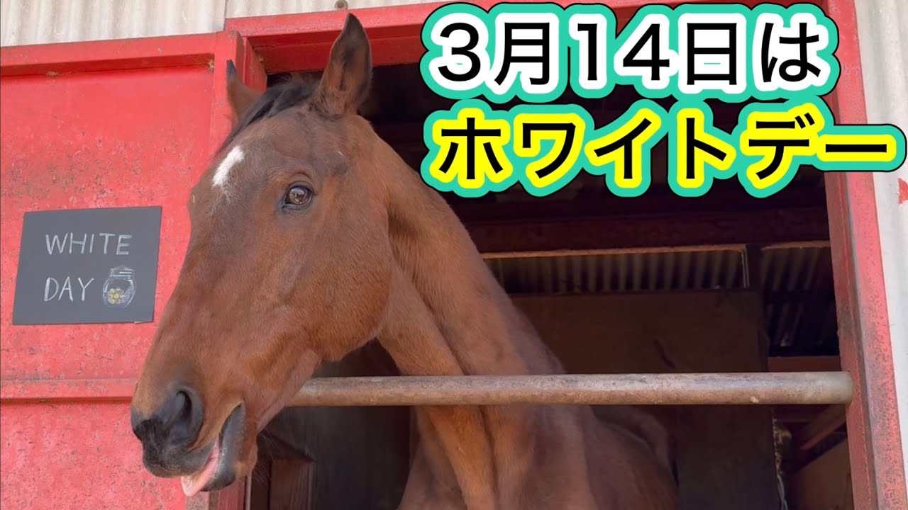 3月14日はホワイトデー