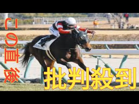 トワイライトシティが新馬戦から2連勝、桜花賞への最終切符をゲット【競馬「アネモネＳ」】