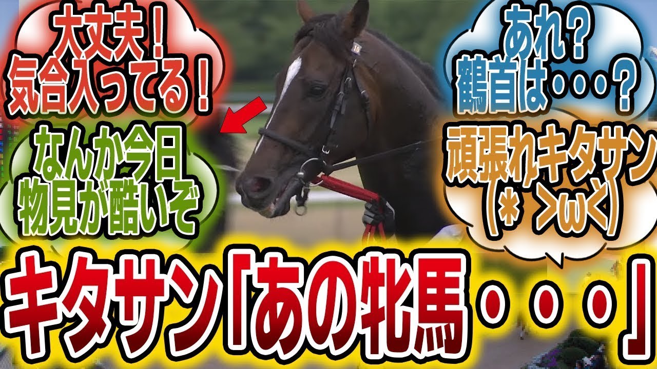 「国内敵なし！キタサンブラックは宝塚必勝だろwww」に対する2017年当時のみんなの反応【競馬の反応集】
