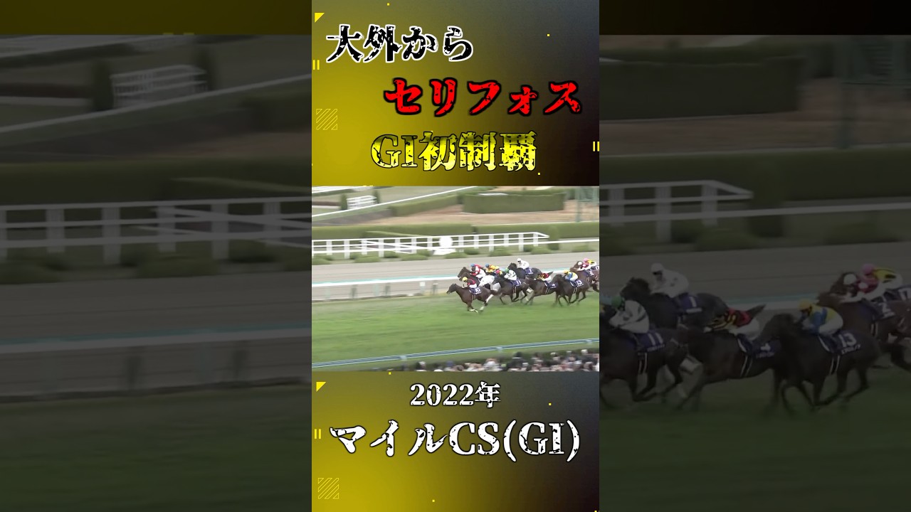 セリフォス【2022年マイルチャンピオンシップ(GI)】#競馬 #shorts #マイルチャンピオンシップ #マイルcs #セリフォス