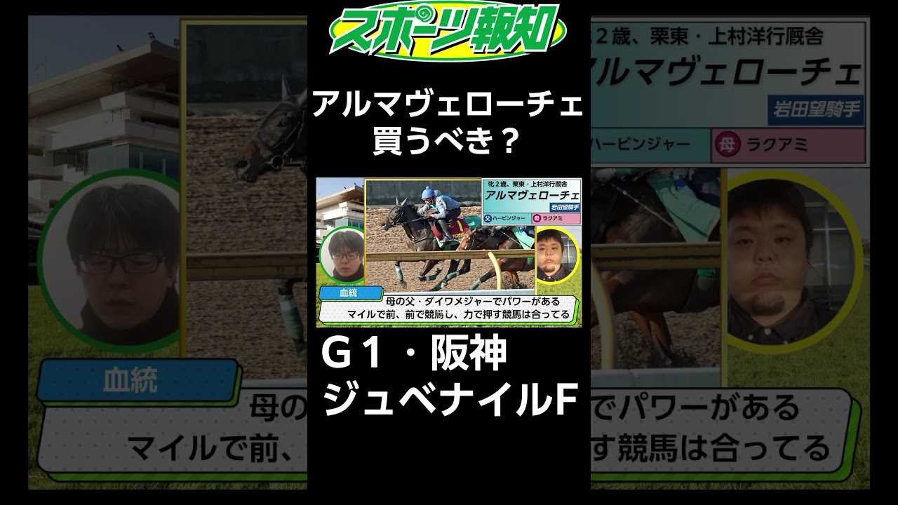 【阪神ジュベナイルフィリーズ2024】アルマヴェローチェの血統、強みを14秒で解説！
