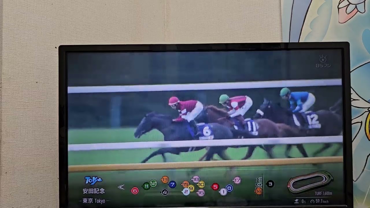 競馬収録放送 第74回安田記念(GⅠ)