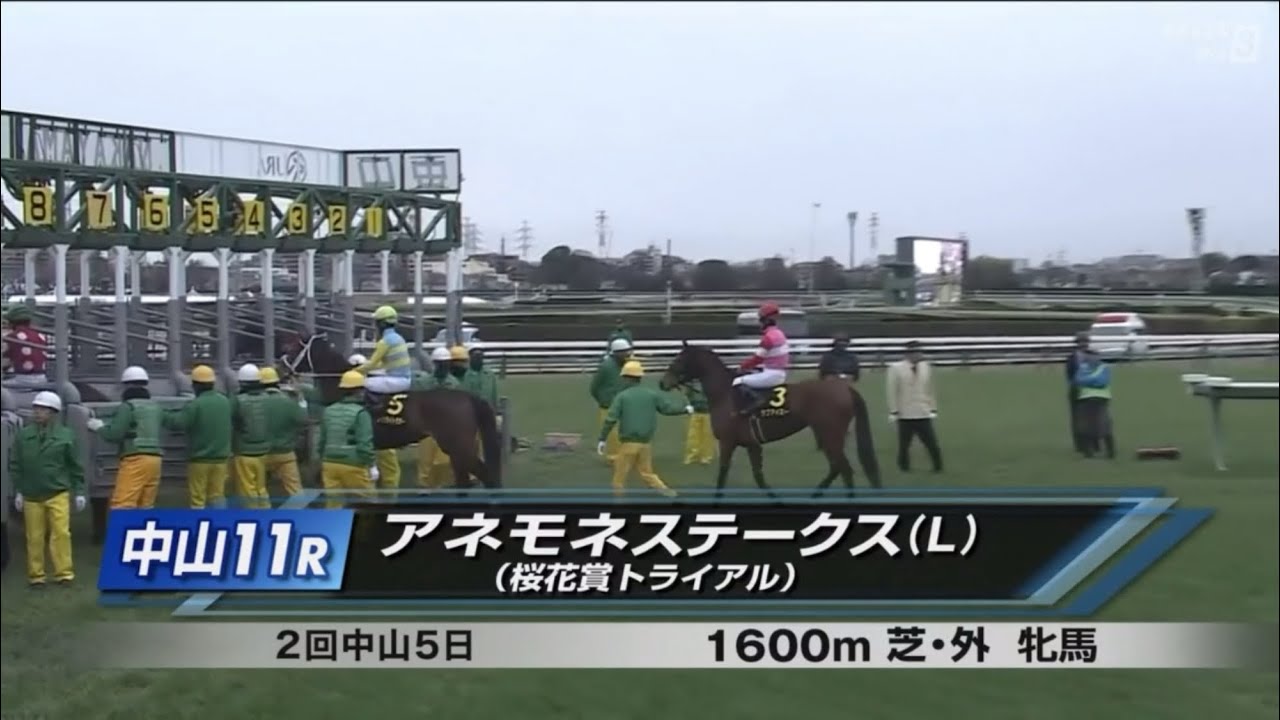 中山11R アネモネステークス（L） 〈桜花賞トライアル〉