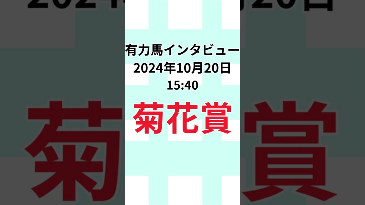 【菊花賞2024】有力馬インタビュー 10月20日 #菊花賞 #富士ステークス #jra予想 #当たる競馬 #万馬券的中 #当たる競馬予想 #競馬 #jra騎手