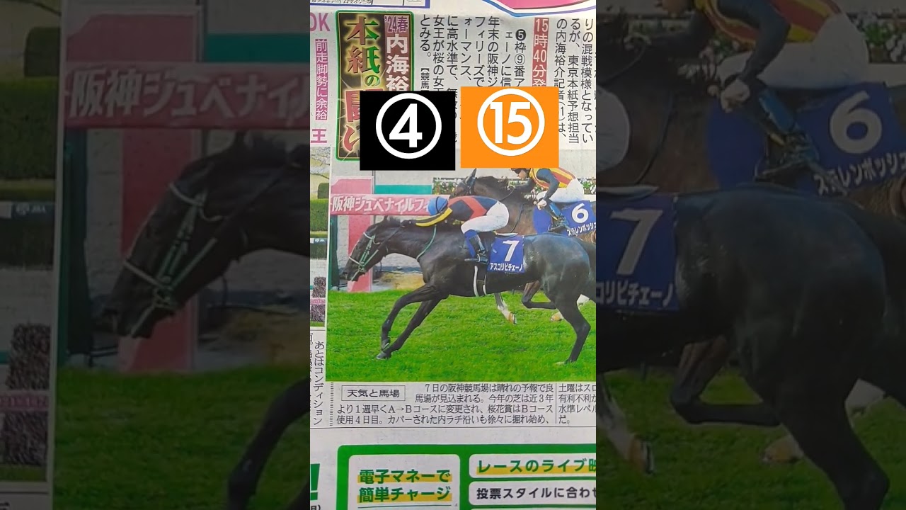 #阪神11r#桜花賞#ゴドルフィン#サイン競馬 #サイン予想 #シヨノロマン