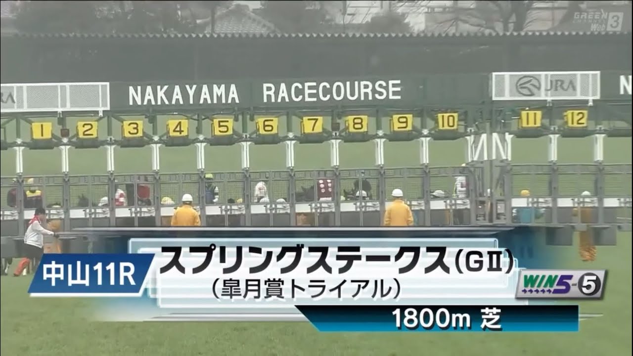 中山11R 第74回スプリングステークス（GⅡ） 〈皐月賞トライアル〉