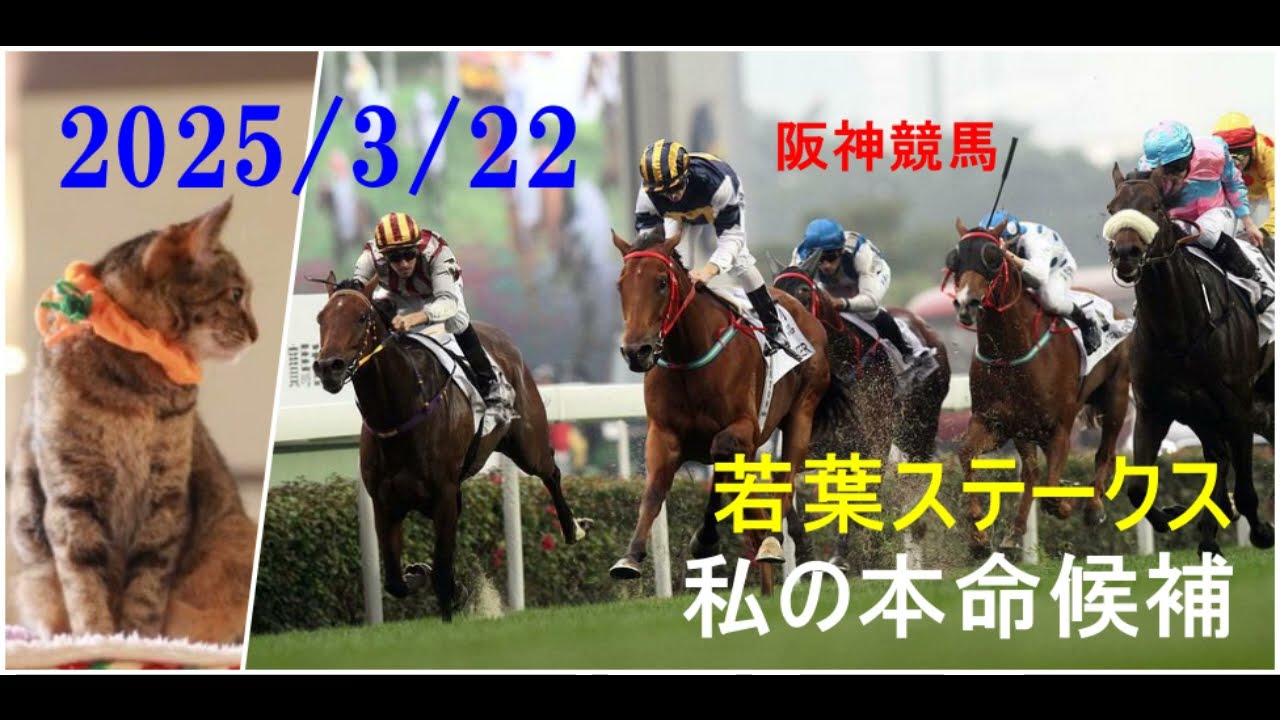 2025/3/22　阪神競馬　若葉ステークス（皐月賞トライアル）私の本命候補