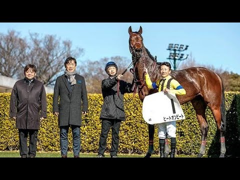 障害界にスター候補続々！ 中山GJに向けて平地の活躍馬が多数勝ち上がり