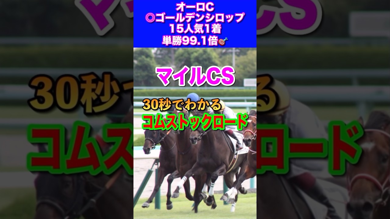 【マイルチャンピオンシップ2024】30秒でわかるコムストックロード