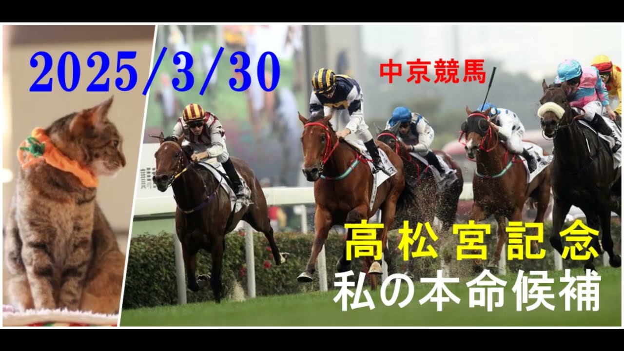 2025/3/30　中京競馬　高松宮記念（ＧⅠ）私の本命候補