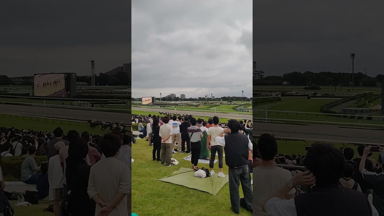 2024/9/29 中山競馬11R スプリンターズステークス現地観戦最後の直線を４コーナーから #現地観戦 #スプリンターズステークス #スプリンターズステークス2024 #ルガル #トウシンマカオ