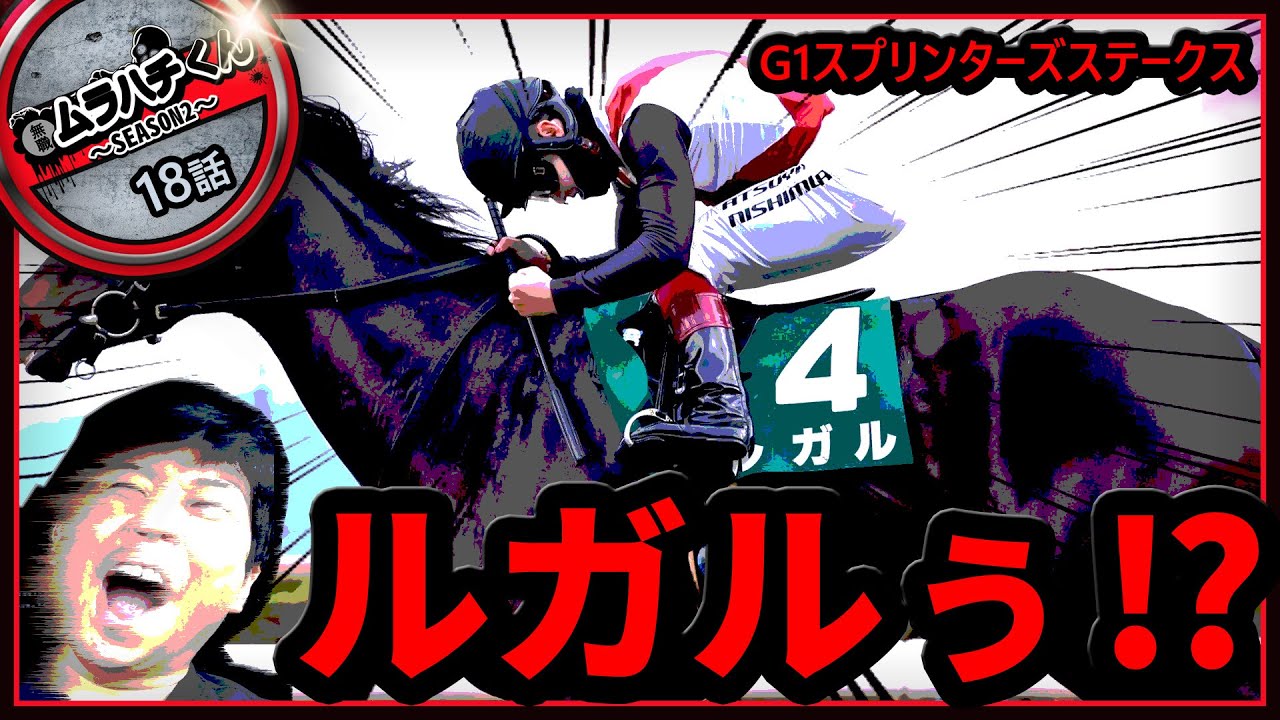 【１８話：帯取らせる‼】スプリンターズステークス【無職の馬券生活SEASON２】