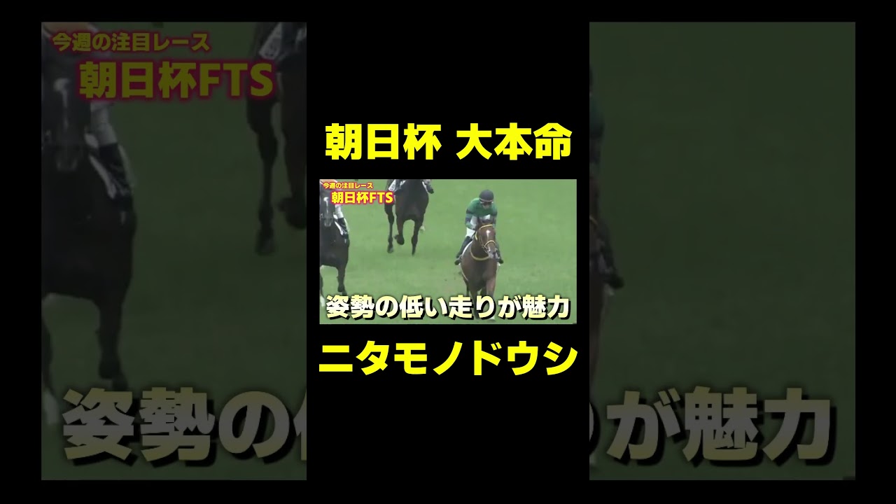 朝日杯FTSの本命　ニタモノドウシ　#競馬 #競馬予想 #朝日杯fs #朝日杯フューチュリティステークス