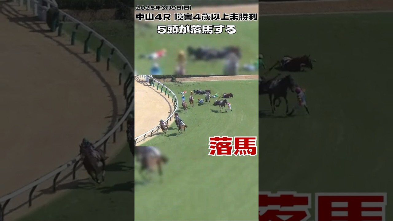 大惨事 出走11頭中５頭が落馬 4歳以上障害未勝利 2025#shorts