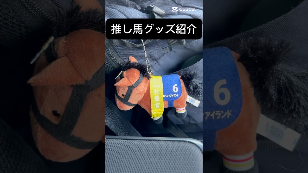 【三冠牝馬】リバティアイランドが好きすぎる。#秋華賞2023 #リバティアイランド #三冠 #お嬢さん #川田将雅 #推し馬