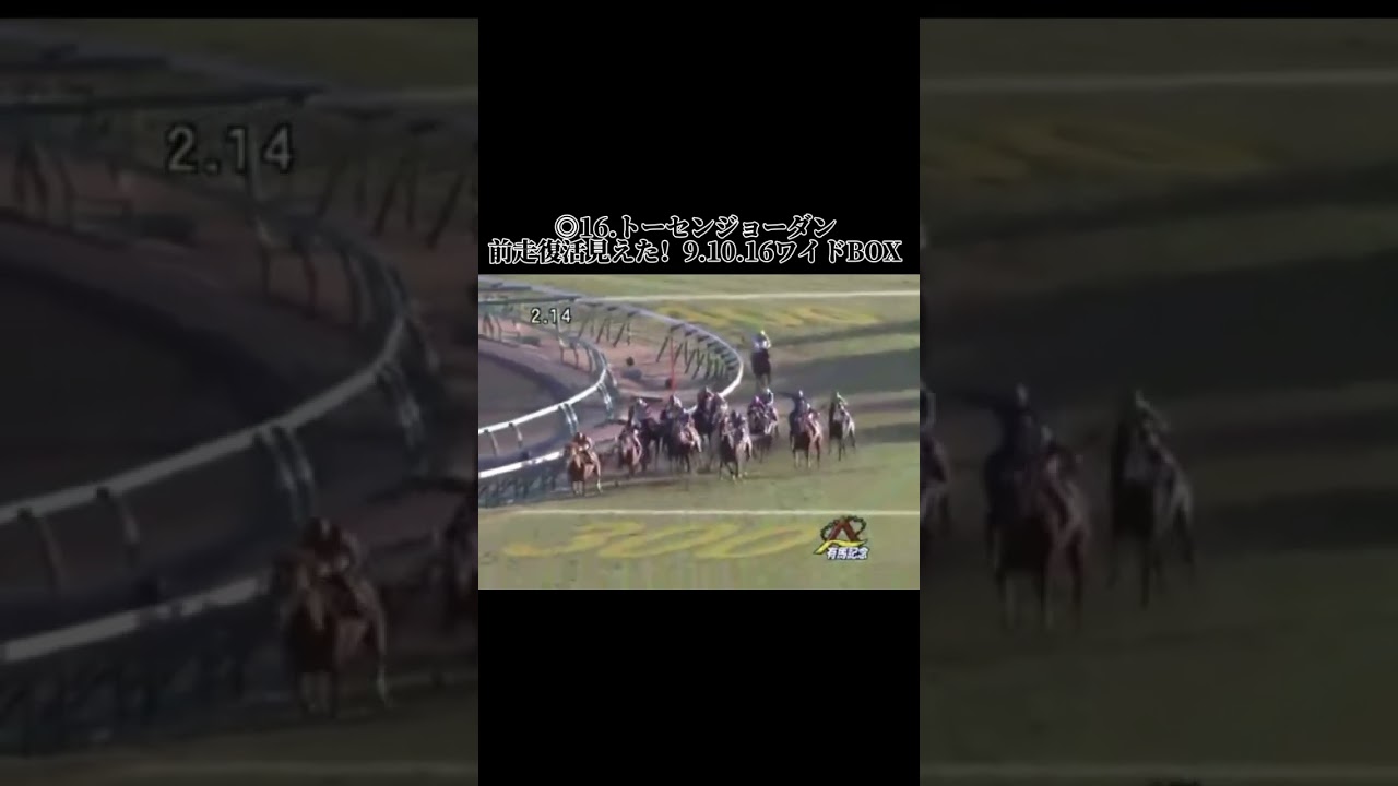 2013の有馬記念の予想結果です、引退を綺麗にそして希望を持って強かった！ #競馬 #競馬結果 #競馬予想 #中央競馬予想 #中央競馬 #中山競馬 #中山競馬予想 #中山競馬場 #有馬記念