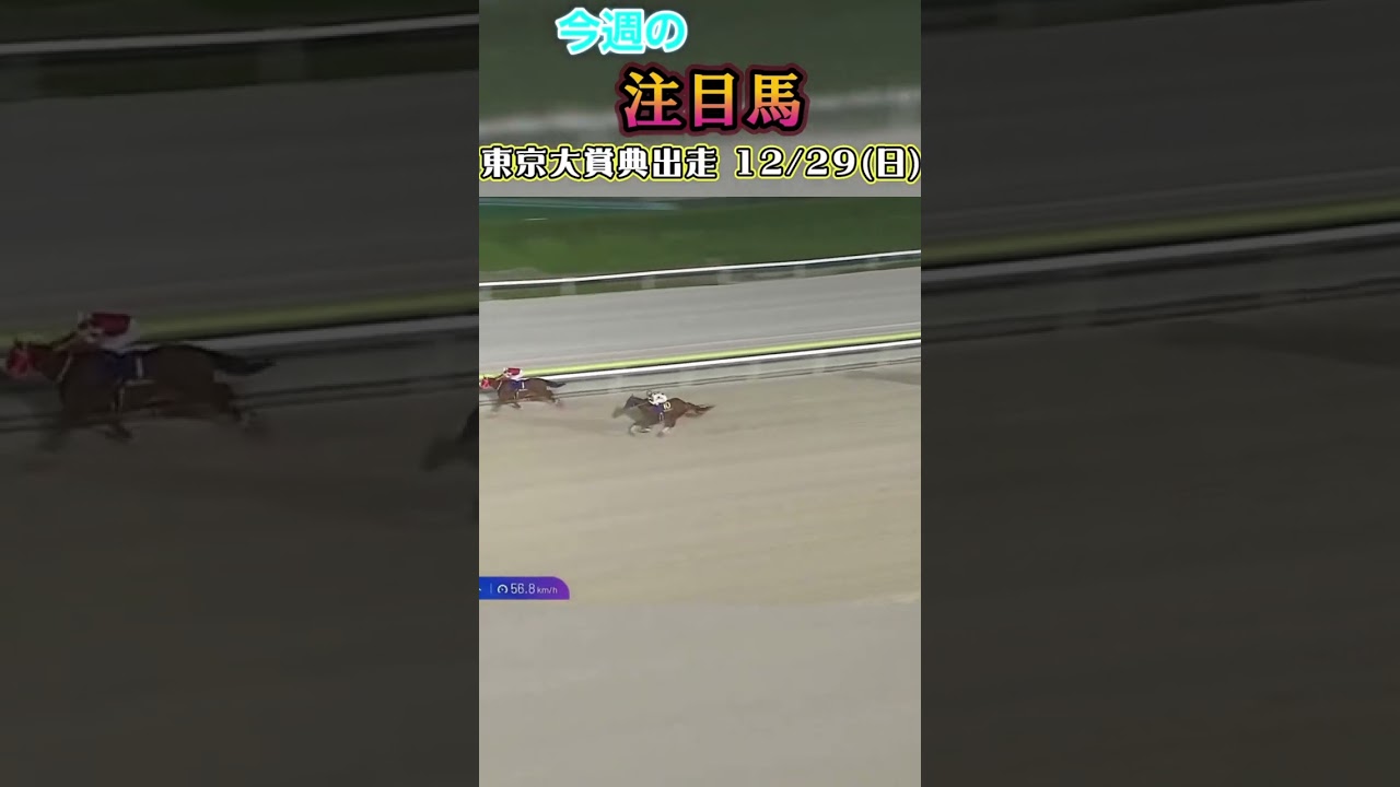 今週は土曜にホープフルステークス、日曜に東京大賞典があります!ホープフルステークス 東京大賞典井競馬#ホープフルs2024#競馬 #競馬予想 #馬 #shorts