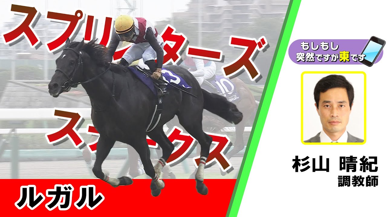 【BS11】「もしもし突然ですが東です」GⅠスプリンターズステークス　ルガル　杉山晴紀調教師　（2024年9月29日放送）