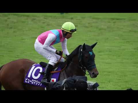 ピューロマジックの返し馬 2024年スプリンターズステークス