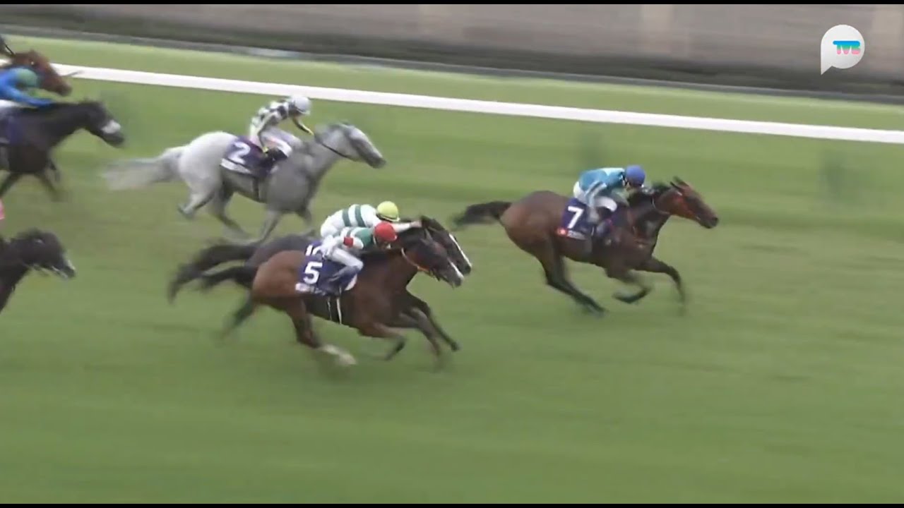 日本安田紀念賽 Yasuda Kinen 一級賽 G1 1600m 2024-06-02 浪漫勇士 Romantic Warrior 東京競馬場 Tokyo Racecourse