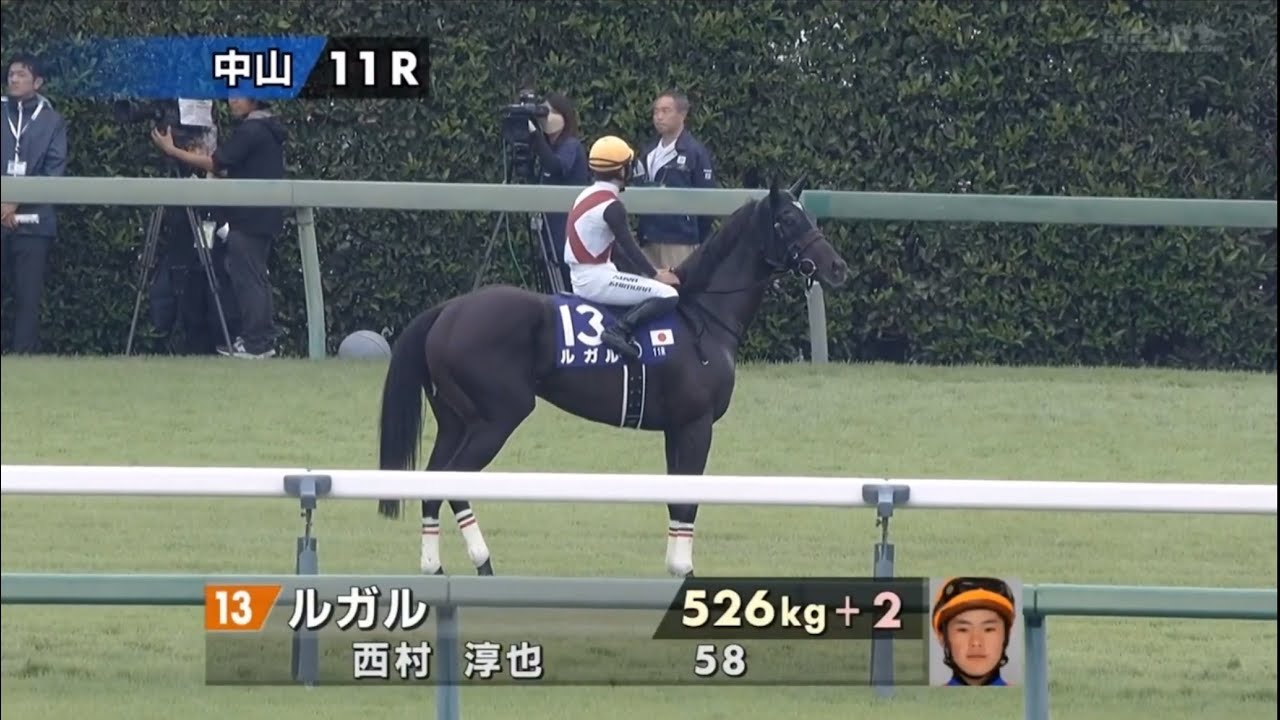 2024 第58回スプリンターズステークス〔GⅠ〕本馬場入場