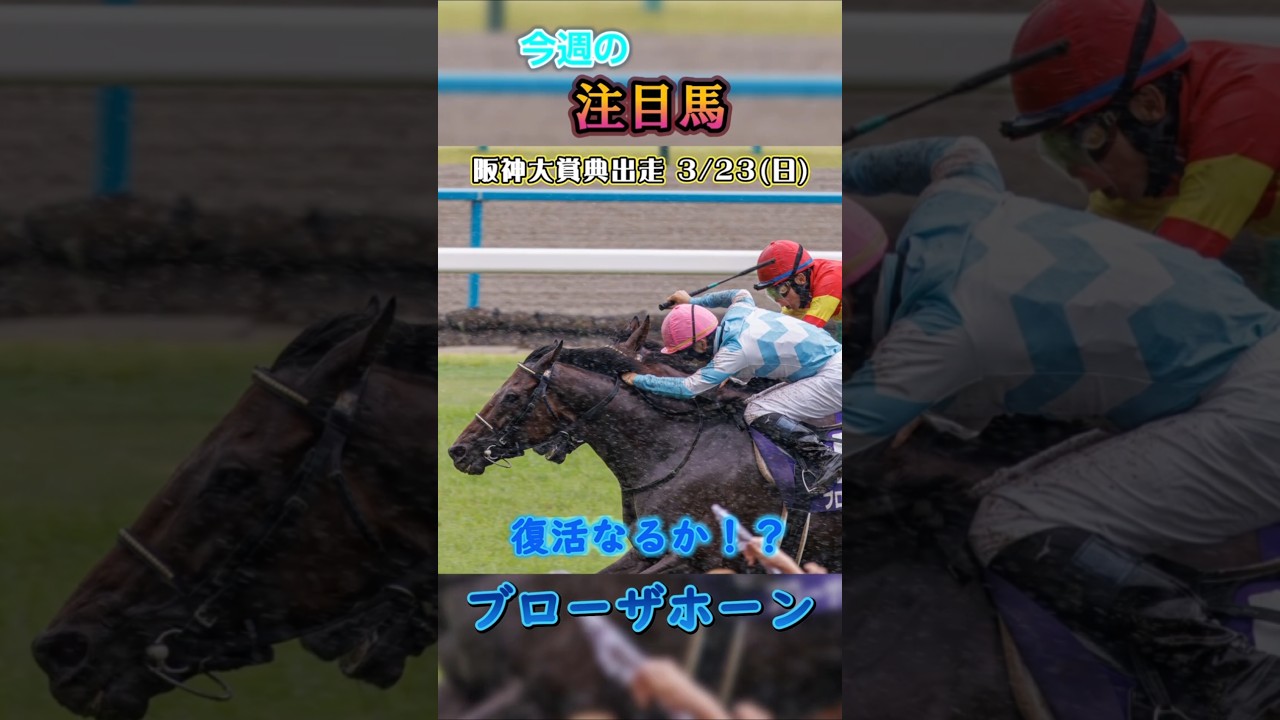 今週末は阪神大賞典 (Gl)が行われます!`阪神大賞典 競馬 天皇賞春#競馬 #競馬予想 #馬 #shorts