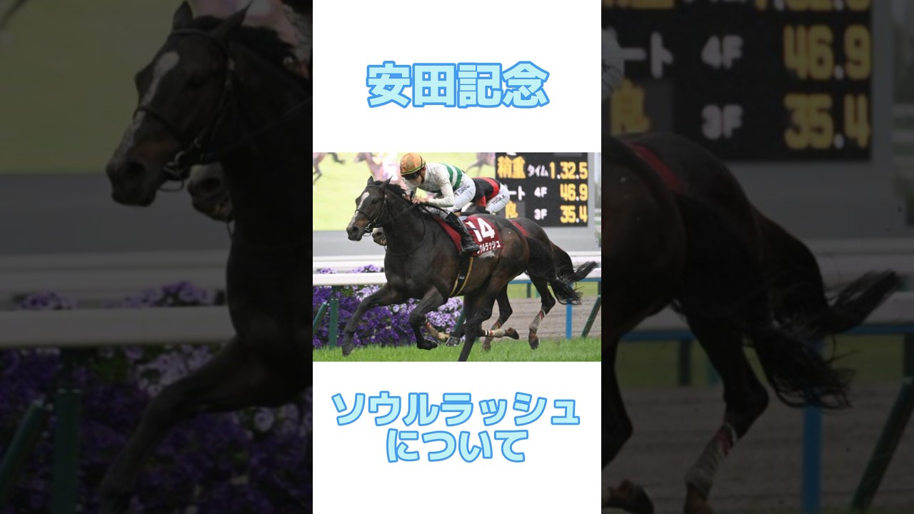 【安田記念2024】ソウルラッシュについて　#安田記念　#ダノンスコーピオン #セリフォス #ソウルラッシュ #ロマンチックウォリアー #ナミュール ヴォイッジバブル #ガイアフォース
