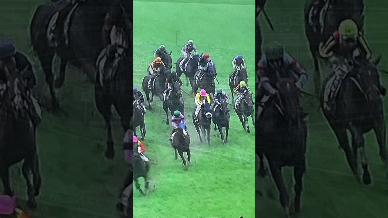 桜花賞最終キップ フラワーカップ 大混戦を制するのはこの馬だ！【改訂版】