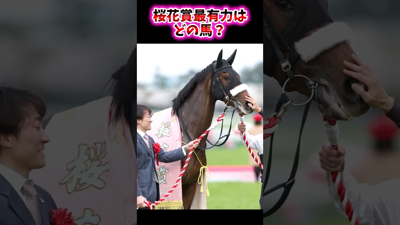 桜花賞最有力はどの馬？【競馬反応集】#桜花賞